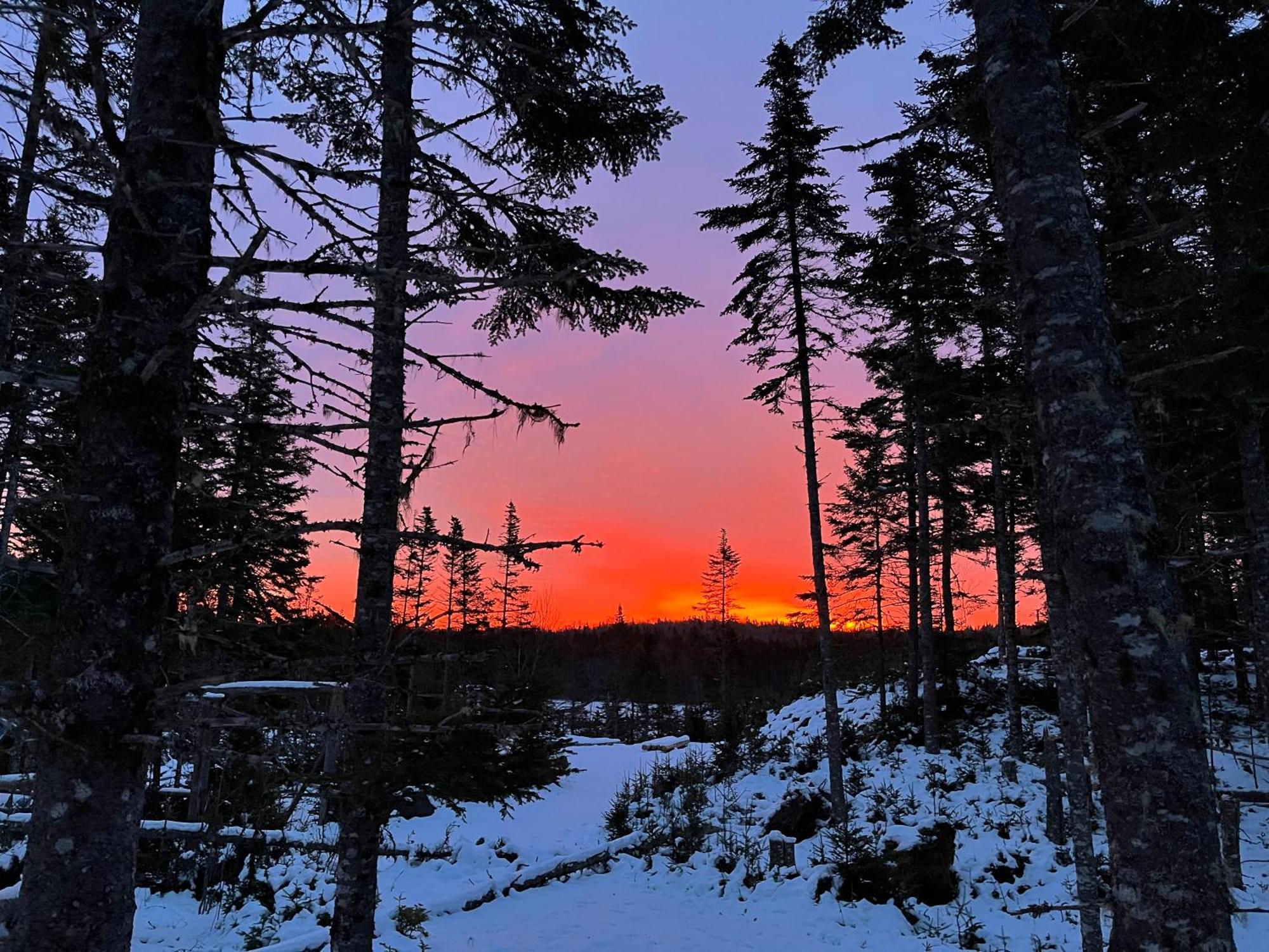 Fiddler'S Lake Escape Gabarus Экстерьер фото